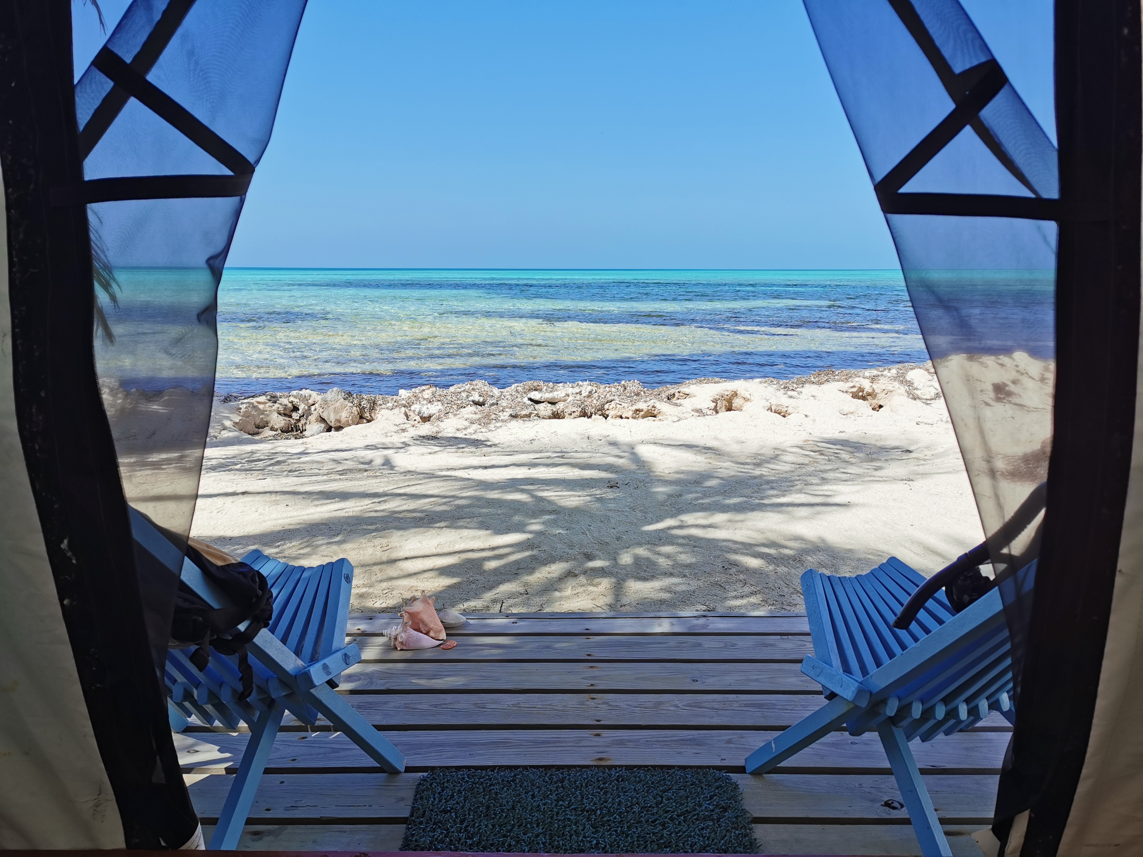 Ocean View from Bed