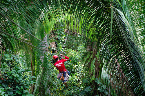 Ziplining at Bocawina Rainforest Resort and Adventures