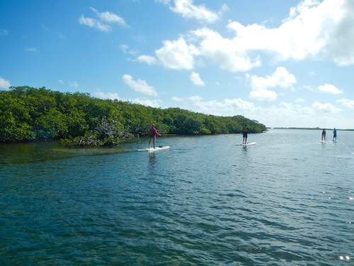 Exploring different regions of the southern Belize Barrier Reef including mangrove ranges and protected lagoons.