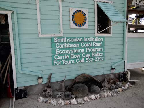 Visiting the Smithsonian Carrie Bow Caye Field Station 