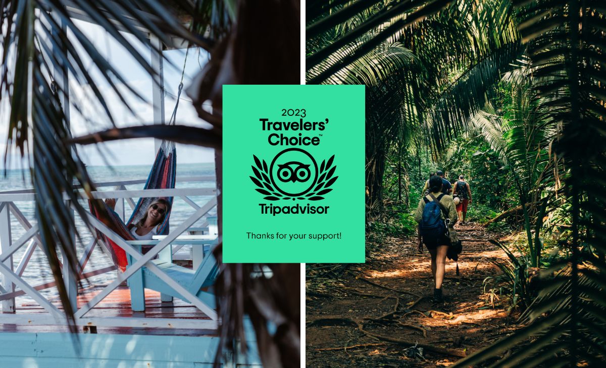 8 best e-readers for travel in 2023 - Tripadvisor