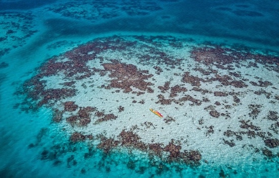 Single Sea Kayak & Coral