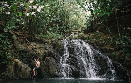 Bocawina Rainforest Jungle and Beach 