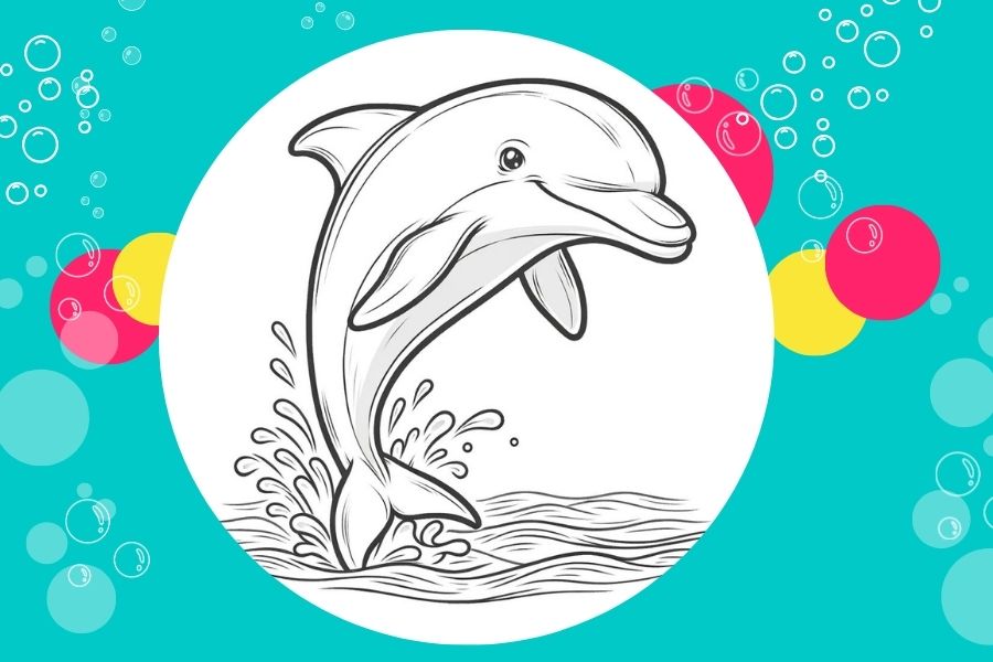 dolphin - tobacco caye coloring book