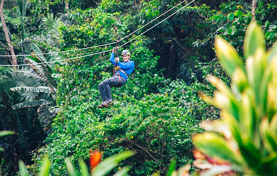Rainforest Canopy Extension Zipline