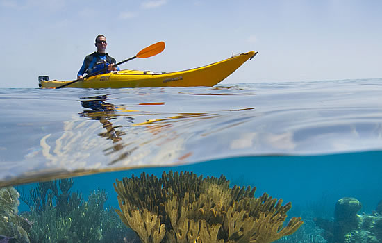 Single Sea Kayak & Coral