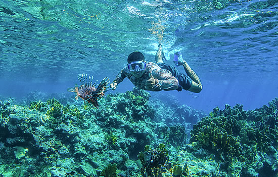 Underwater with lionfish in belize