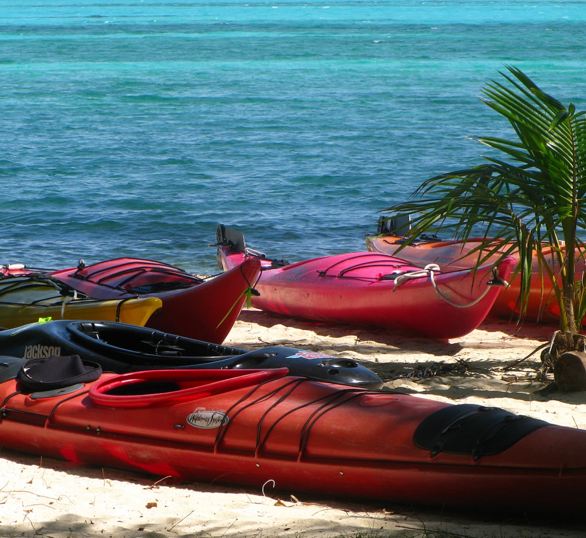 Gear and Kayaks on the beach