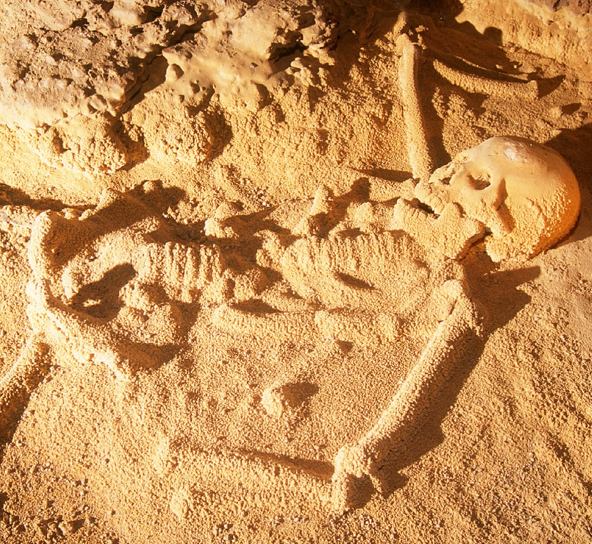 Actun Tunichil Muknal Belize Atm Cave Island Expeditions