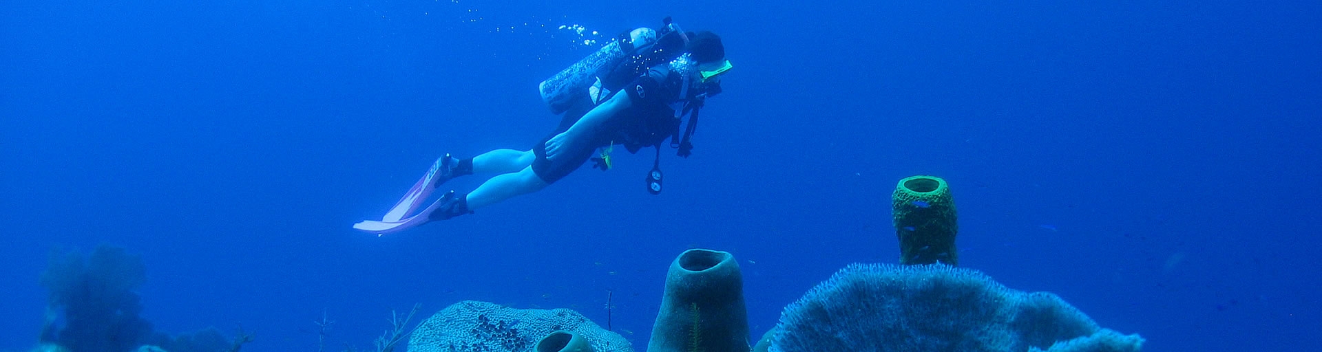 Scuba Diving Vacations Belize