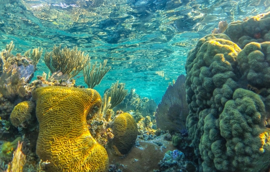 Blue Hole Belize