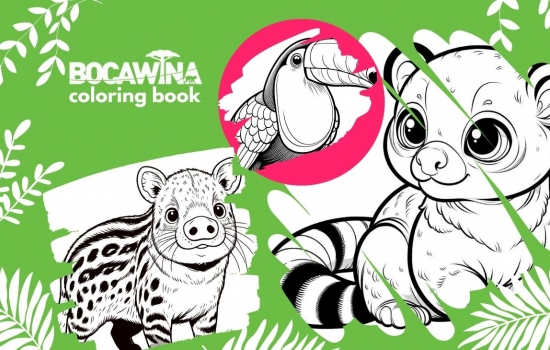 Bocawina coloring book