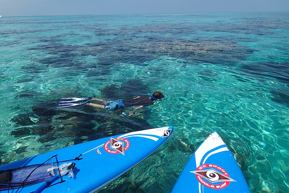 SUP and Snorkeling in Belize