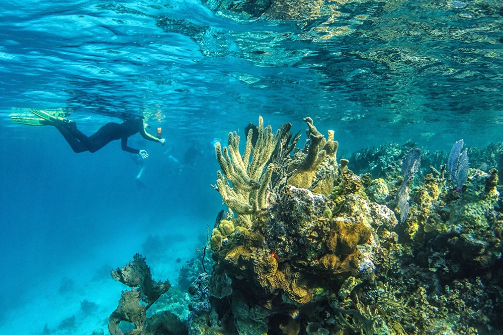 Lighthouse Reef - world-renowned dive and snorkel sites.