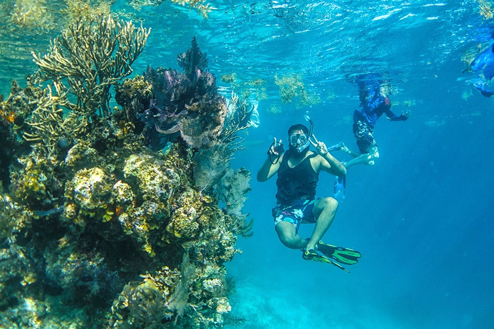 Belize Underwater Diving Photo Gallery | Island Expeditions