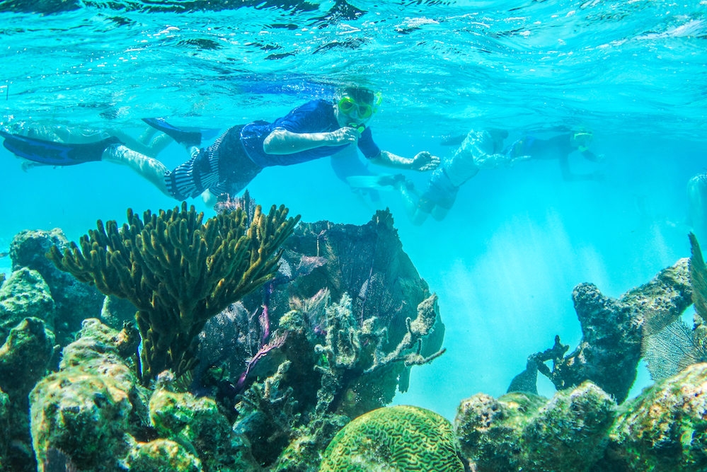 Snorkeling at Glover's Reef